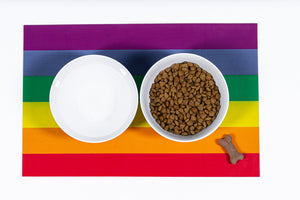Pride Placemat-Classic Rainbow-Set of 4