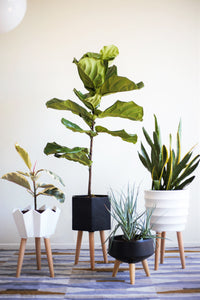 John Ceramic Planter
