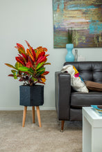 Paul Ceramic Planter