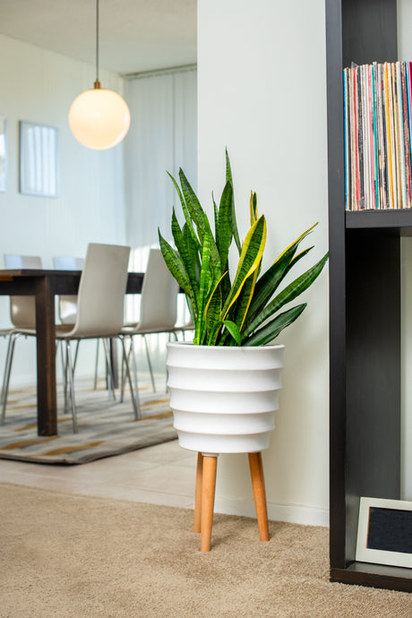 Winston Ceramic Planter
